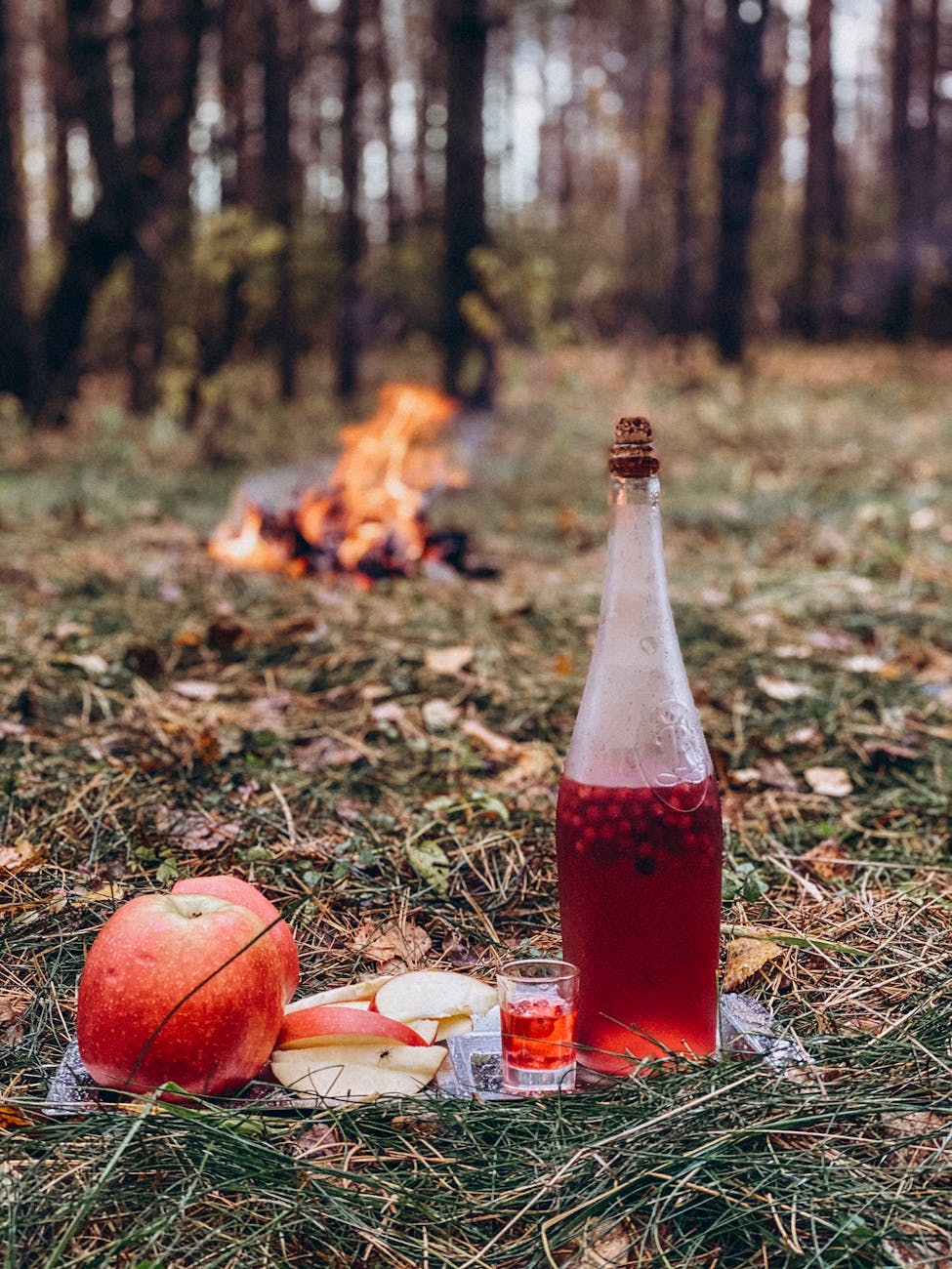 photo of a campfire in the forest with a wine a glass and an apple