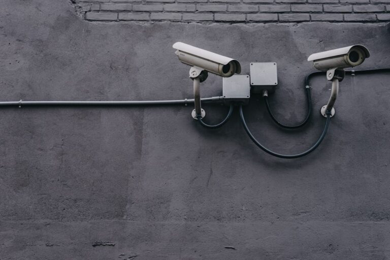 Critical Embedded Web Interface Vulnerability Exposes Network Cameras to Remote Execution